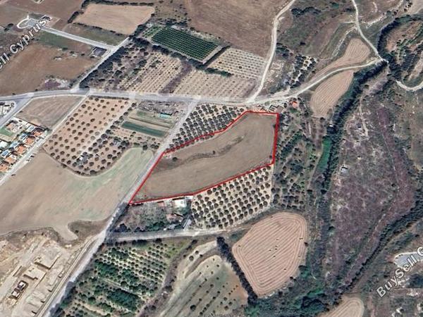 land for sale koloni paphos 7737074 image 10186288