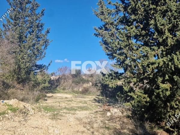 land for sale tsada paphos 8072074 image 16152203