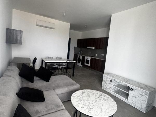 1 bedroom apartment for rent aglantzia nicosia 8608174 image 16338583