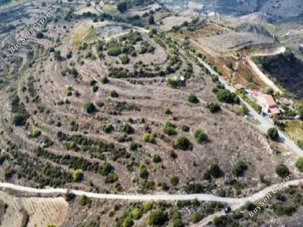 land for sale pachna limassol 8716174 image 16294749
