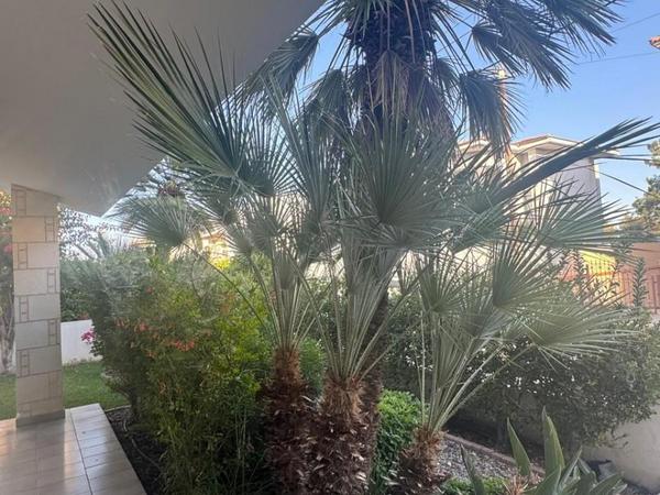 5 bedroom detached house for sale platy aglantzias nicosia 8360274 image 14545357