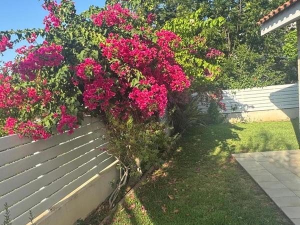5 bedroom detached house for sale platy aglantzias nicosia 8360274 image 14545362