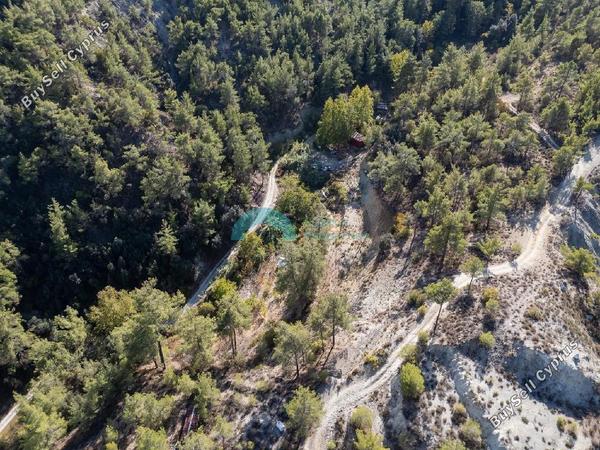 land for sale kakopetria nicosia 7463274 image 9254170