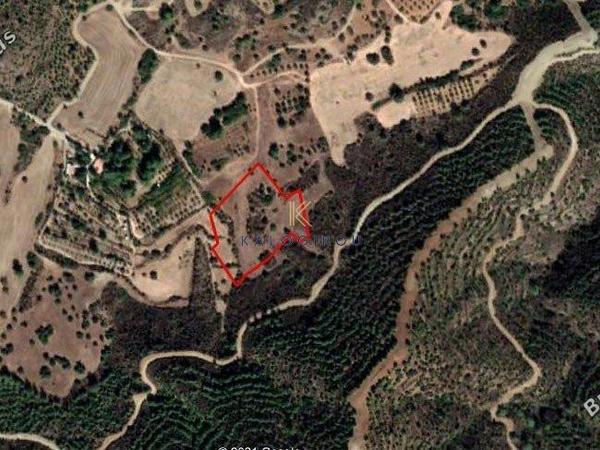 plot for sale kofinou larnaca 1195274 image 5576953