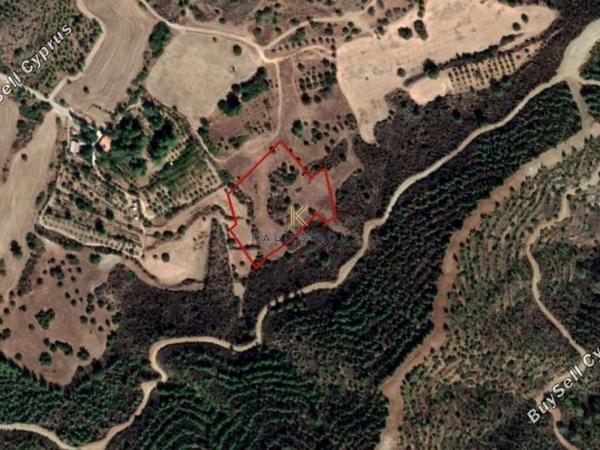 plot for sale kofinou larnaca 1195274 image 5576955