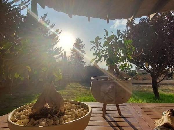 3 bedroom detached house for sale tala paphos 7931474 image 13489490