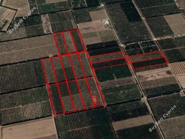 land for sale akrotiri limassol 1548474 image 5892676