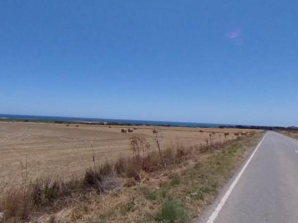 land for sale alaminos larnaca 7738474 image 16683000