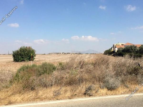 land for sale alaminos larnaca 7738474 image 16683001