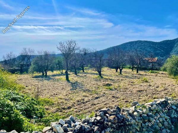 land for sale doros limassol 7729474 image 10127742