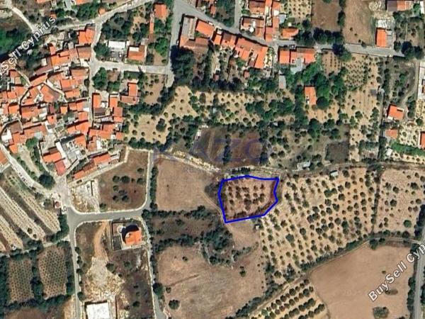 land for sale doros limassol 7729474 image 10127743