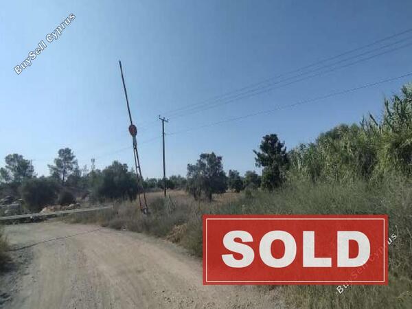 land sold kornos larnaca 1353474 image 2542646