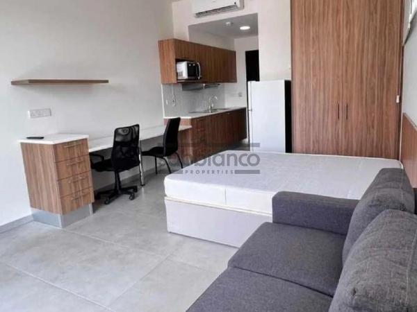 1 bedroom apartment for rent aglantzia nicosia 8748574 image 16466324