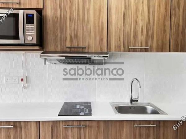 1 bedroom apartment for rent aglantzia nicosia 8748574 image 16466329
