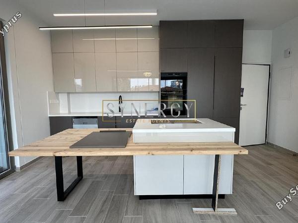 2 bedroom apartment for rent acropolis nicosia 8560574 image 16563708