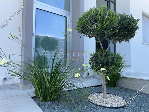 3 bedroom detached house for rent chlorakas paphos 8765574 image 16564040
