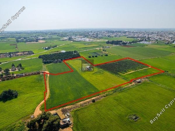 land for sale frenaros famagusta 1281574 image 16165676