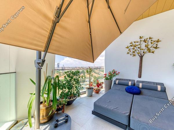 1 bedroom apartment for rent potamos germasogeias limassol 8771674 image 16577955