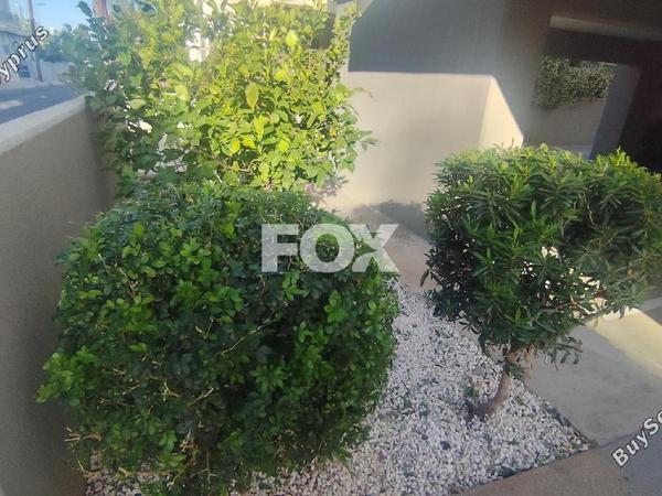 2 bedroom apartment for rent agios ioannis limassol 8592674 image 15968137