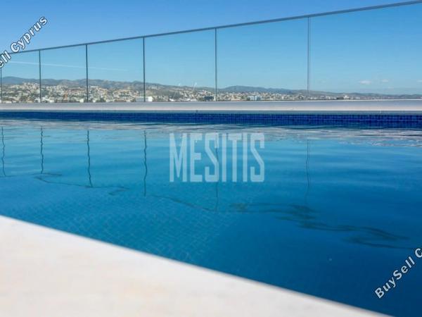 2 bedroom apartment for rent kato polemidia limassol 8473674 image 16004138