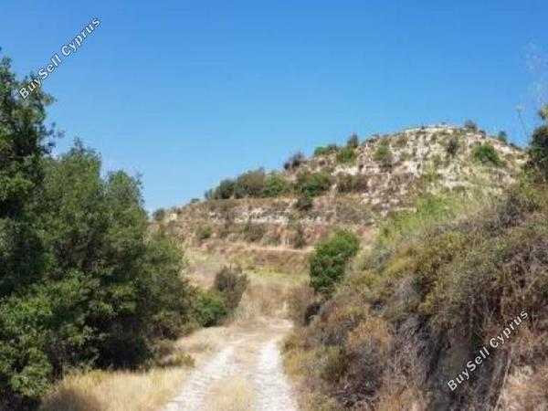 land for sale pachna limassol 8785674 image 16656228