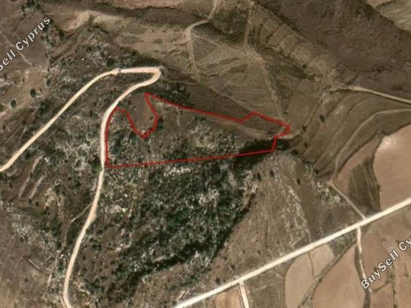 land for sale pano arodes paphos 8630674 image 15873928