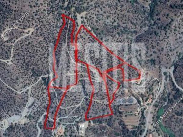 plot for sale foinikaria limassol 1828674 image 12886876