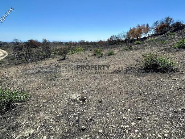 land for sale koilani limassol 8117774 image 14833014