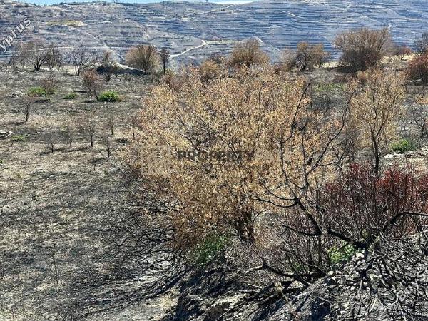 land for sale koilani limassol 8117774 image 14833016