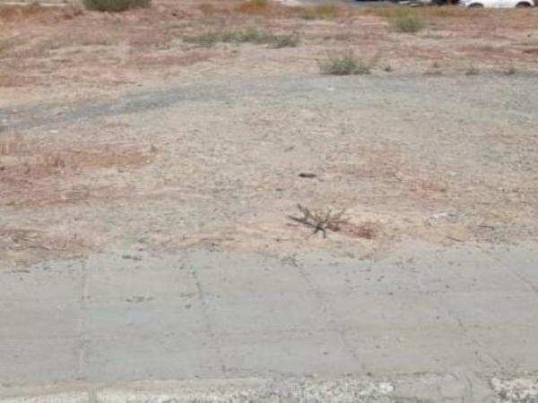 plot for sale geri nicosia 1554774 image 16167011