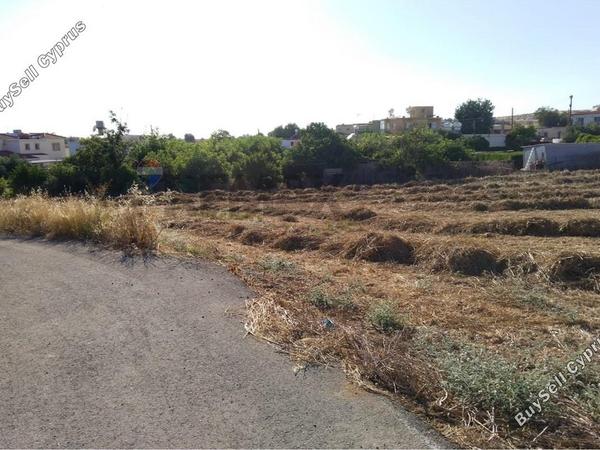 land for sale anarita paphos 8960874 image 17800329