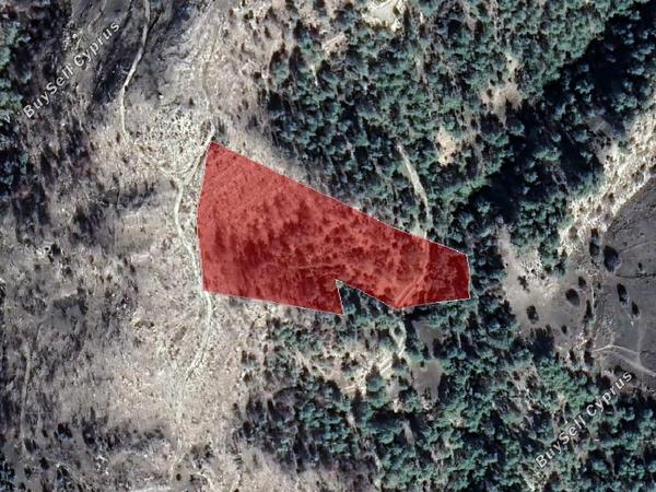 land for sale archimandrita paphos 964874 image 15600744