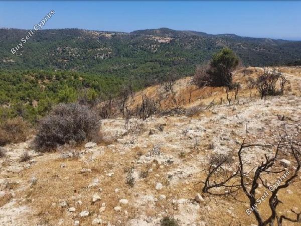 land for sale archimandrita paphos 964874 image 15600745