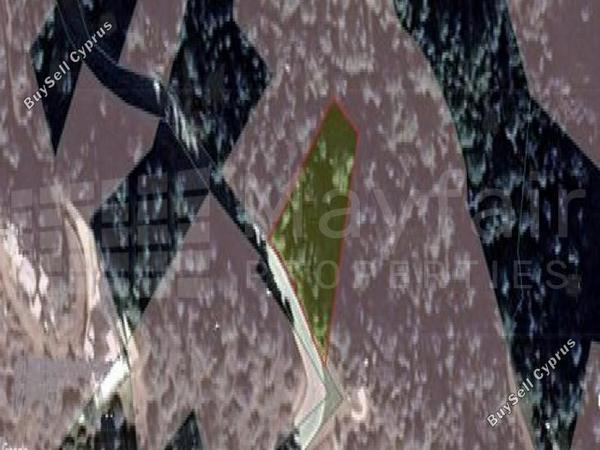 land for sale vavatsinia larnaca 7873874 image 11395700