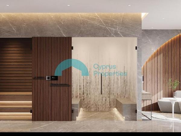 studio apartment for sale tombs of the kings paphos 8433874 image 16019831
