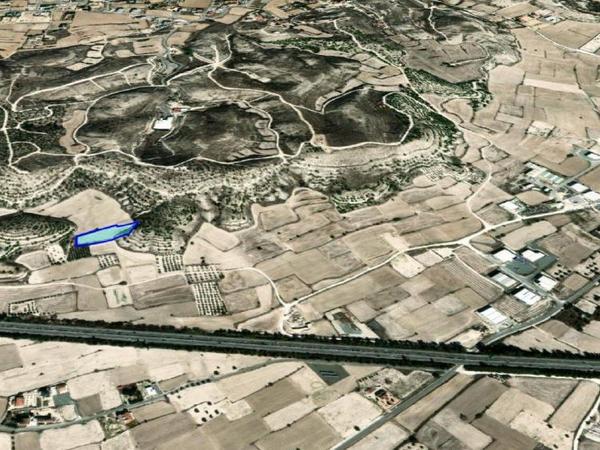 land for sale alampra nicosia 7948974 image 16162477