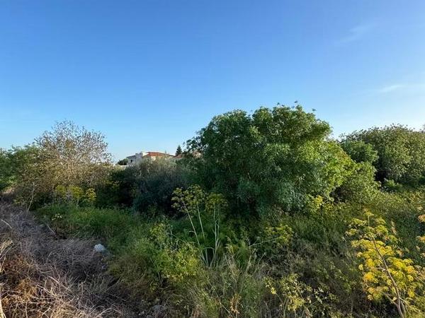 land for sale mesogi paphos 1335974 image 2475372