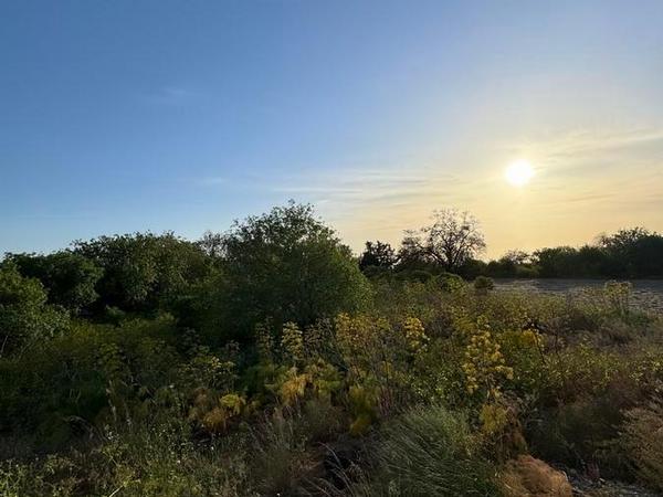 land for sale mesogi paphos 1335974 image 2475373