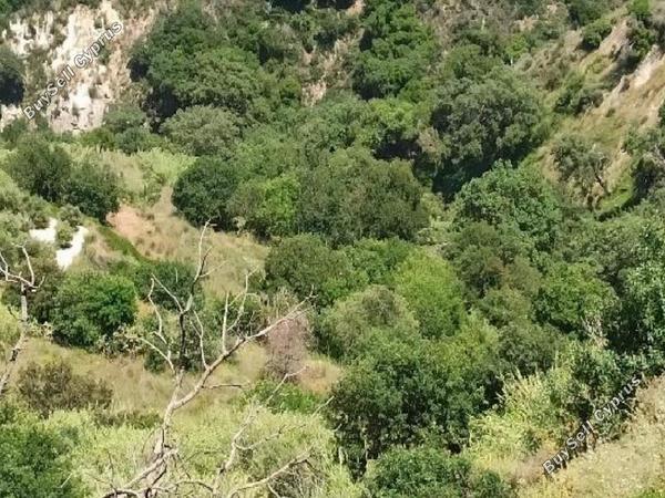 land for sale theletra paphos 8664974 image 17011060