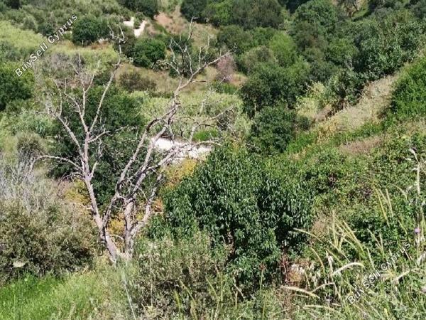 land for sale theletra paphos 8664974 image 17011062