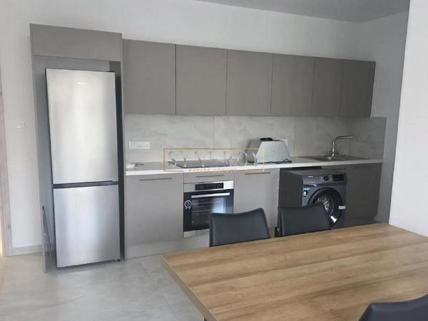 1 bedroom apartment for rent aglantzia nicosia 8792084 image 16692512