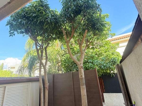 2 bedroom town house for sale potamos germasogeias limassol 7940084 image 14529666