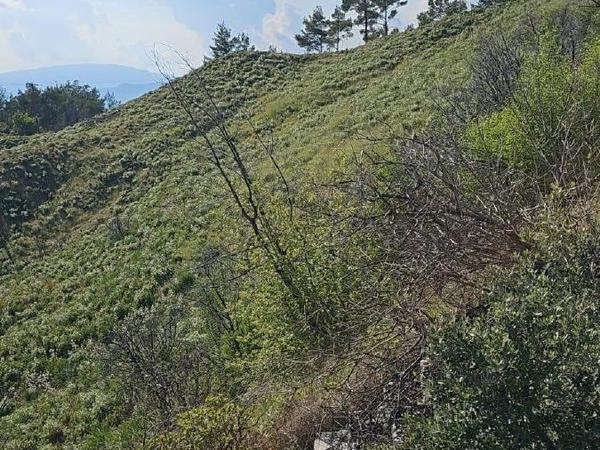 land for sale kato platres limassol 1546084 image 5869851