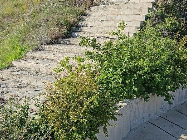land for sale kato platres limassol 1546084 image 5869854