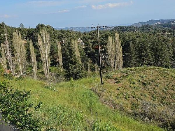 land for sale kato platres limassol 1546084 image 5869867