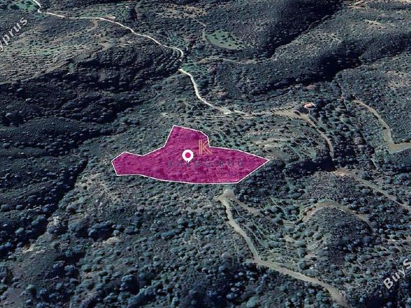 land for sale vavla larnaca 1650084 image 10092915