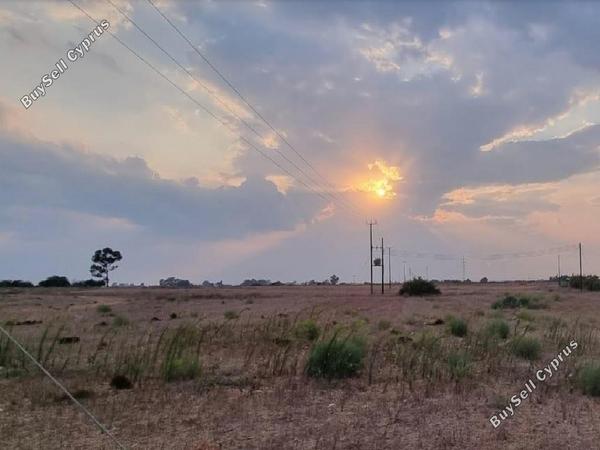 land for sale xylofagou larnaca 1425084 image 2734973