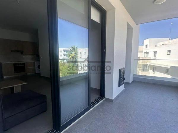 1 bedroom apartment for rent aglantzia nicosia 8741184 image 16389822