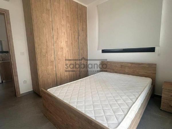1 bedroom apartment for rent aglantzia nicosia 8741184 image 16389825