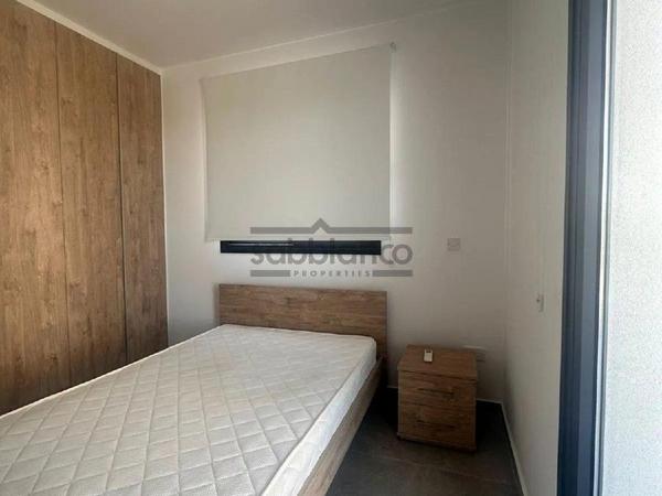 1 bedroom apartment for rent aglantzia nicosia 8741184 image 16389829